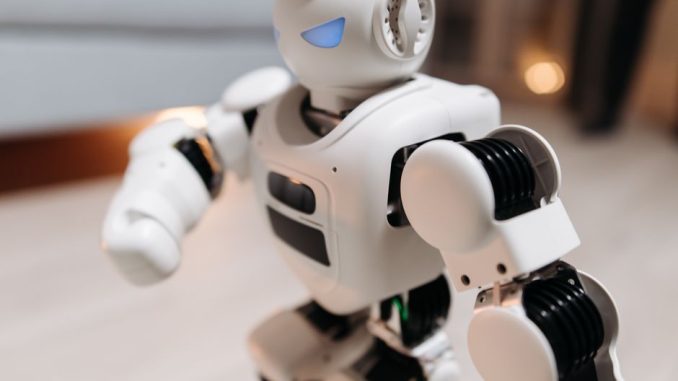 robot humanoide barato